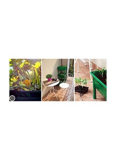 NOVITAL Tray for growing Plants / Flowers / Vegetables for Balcony Patio Window Display  - Image 4