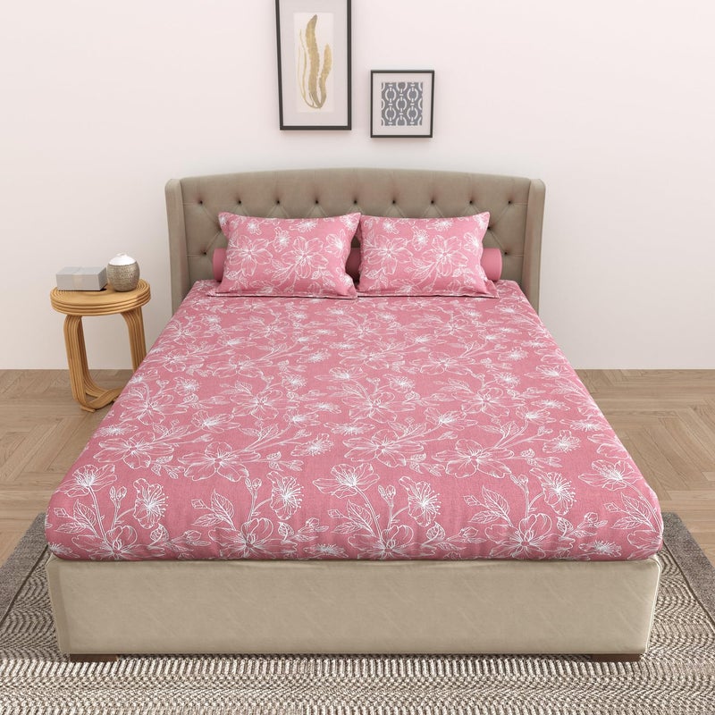 Cosy CORNER ملاءة سرير كوين 100% قطن من كوزي كورنر لحجم مزدوج، ملاءة سرير 280 TC لحجم مزدوج مع 2 غطاء وسادة بحجم كينغ - Image 1