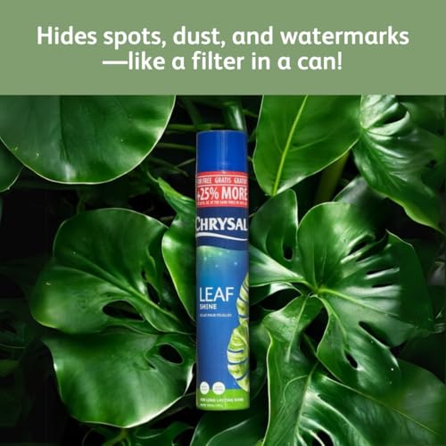 Chrysal Leaf Shine Spray for Indoor Plants (25 Ounce 1 Pack) - Image 5