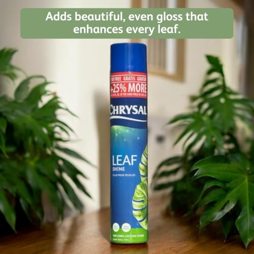 Chrysal Leaf Shine Spray for Indoor Plants (25 Ounce 1 Pack) - Image 3