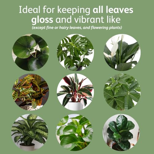 Chrysal Leaf Shine Spray for Indoor Plants (25 Ounce 1 Pack) - Image 4