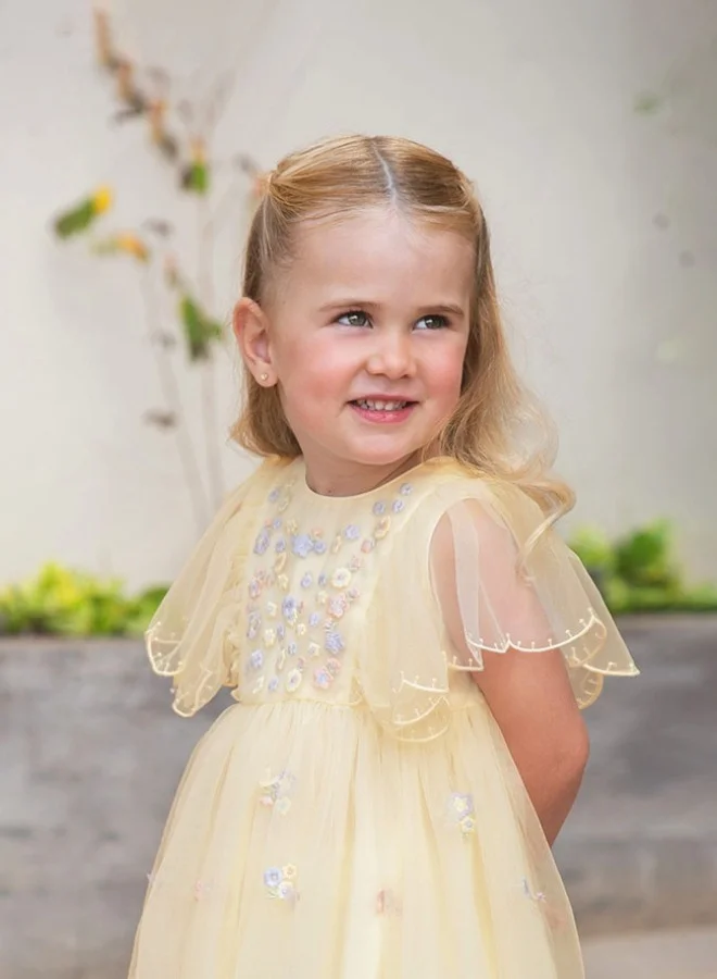 ديف اند بيلا فستان تول مطرز بالزهور للبنات
