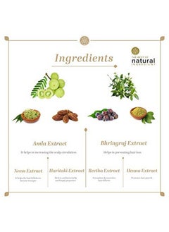 Khadi Natural Herbal Amla And Bhringraj Shampoo For All Hair Types (210 Ml)  - Image 4