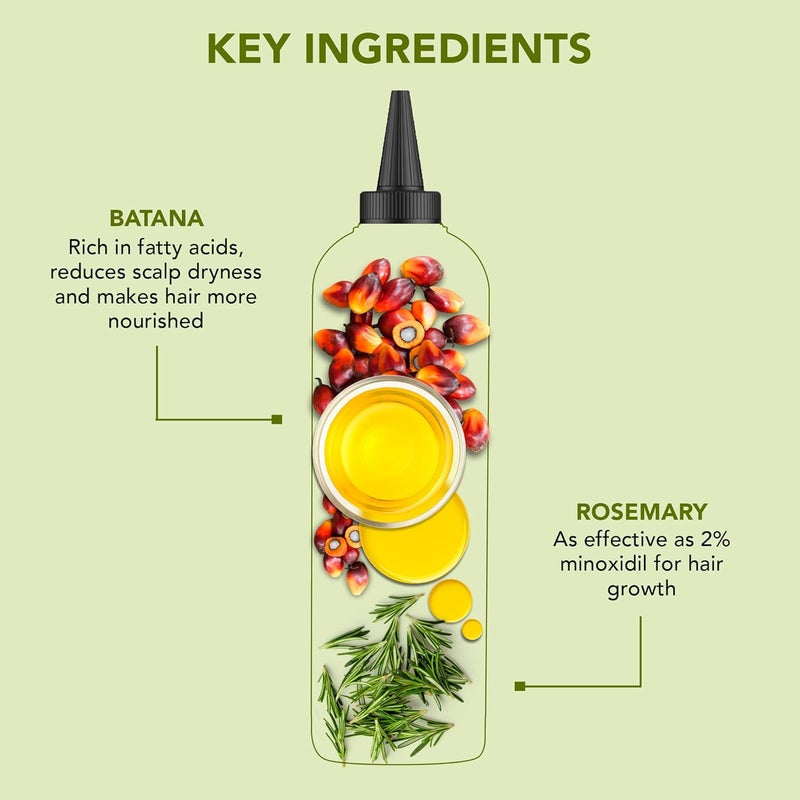 Botanic Hearth Rosemary Batana Hair Oil Set of 2 13.4 fl oz - Image 2