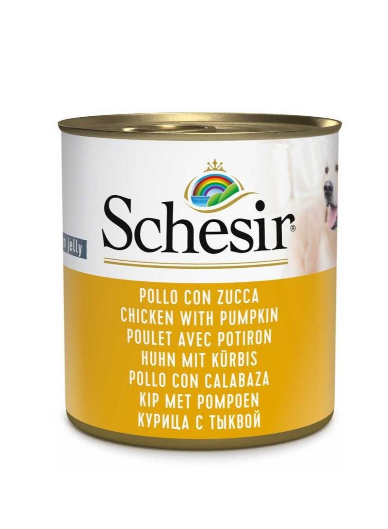 Schesir Dog Wet Food-Chicken With Pumpkin 285 g 1PC