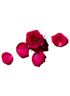 BENAMÕR Benamor Rose Amelie Lip Balm with Shea Butter Argan Oil Aloe Vera Natural Ingredients Rose Scent Paraben Free Hydrating Lip Balm 12ml  - Image 3