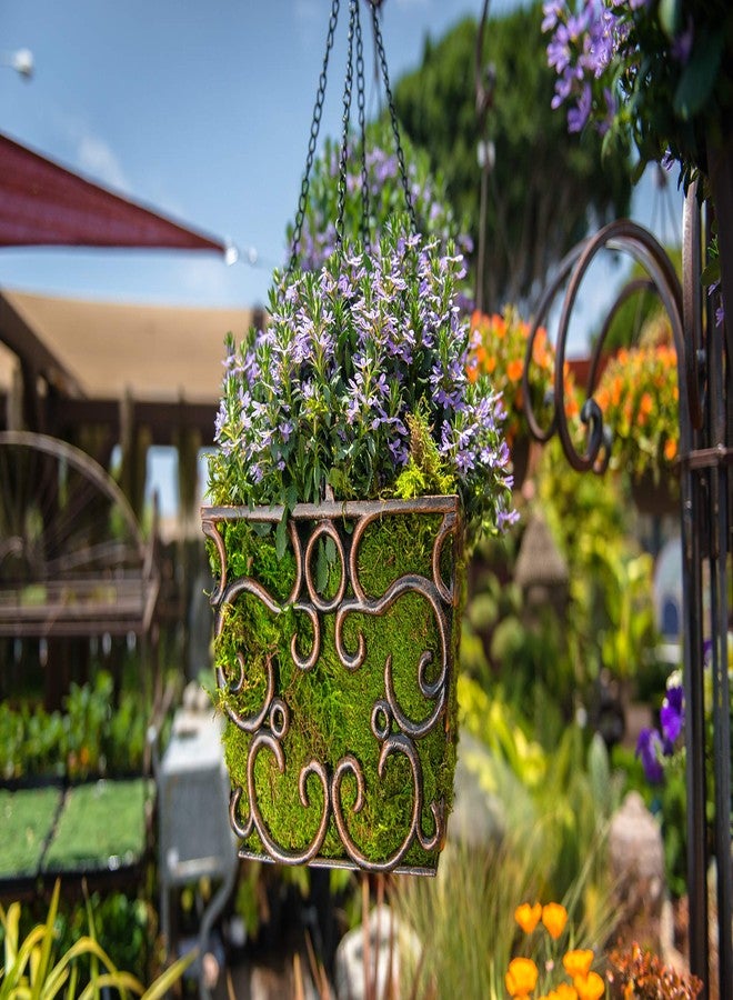 SuperMoss (21511) Sheet Moss - Flat Moss for Plants, Terrariums, Wedding Decor & Crafts | Safe, Non-Toxic, Long-Lasting Green Moss for Indoor Plants, Vivariums & Green Wall Art, 175 Cu. In., Preserved - Image 2