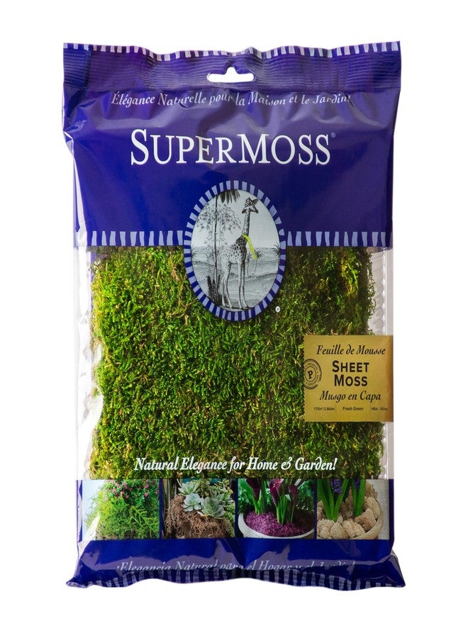 SuperMoss (21511) Sheet Moss - Flat Moss for Plants, Terrariums, Wedding Decor & Crafts | Safe, Non-Toxic, Long-Lasting Green Moss for Indoor Plants, Vivariums & Green Wall Art, 175 Cu. In., Preserved - Image 1