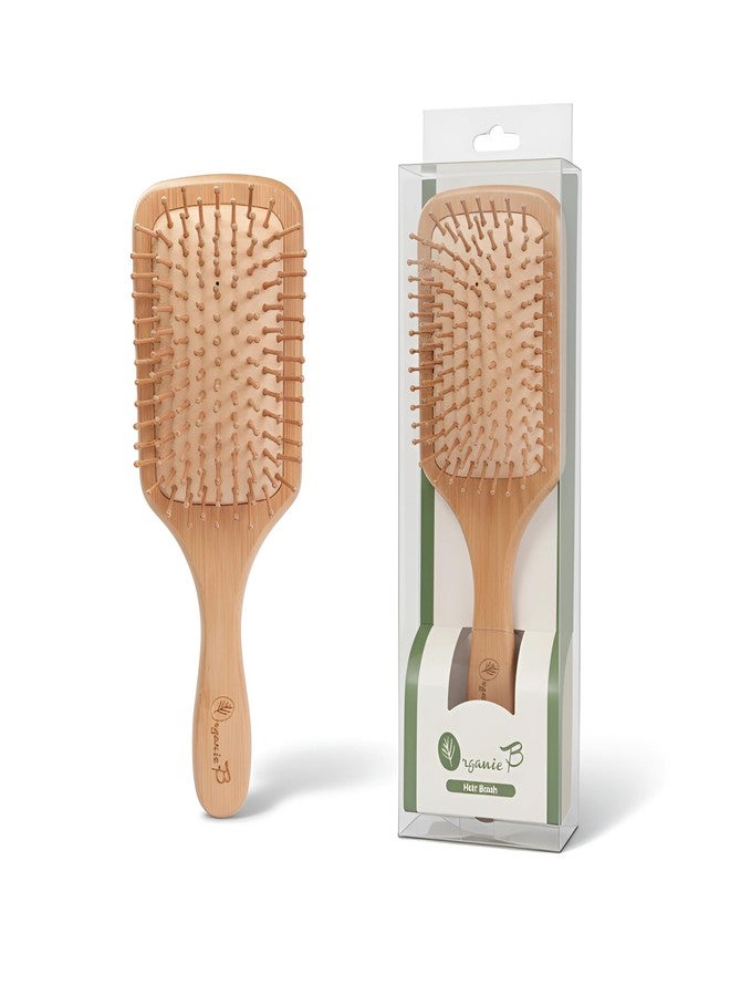 Organic B Solid Bamboo Paddle Hair Brush with Wooden Handle & Bamboo Bristles | Eco-Friendly Hair Brush for Gentle Detangling, Smooth Styling & Daily Hair Care | Unisex Sustainable Grooming Tool - Image 1