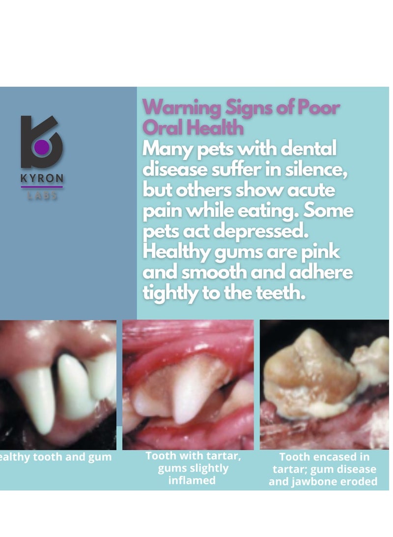 KYRON PET DENT TOOTHPASTE For Dogs and Cats 60 gm From Varmacy - Image 3