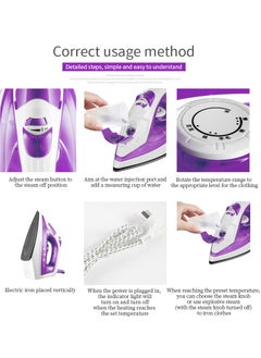 Electric iron-Electric Steam Iron Box IBS 1500W Teflon Sole Plate,5 Temp Settings, Overheat Protection,360° Swivel Cord,Variable Steam Control (Purple) - pzsku/ZCC86BB687008E0B2E23AZ/45/_/1722393666/9308abaf-9aba-44ef-8ecc-9429f5267d1d