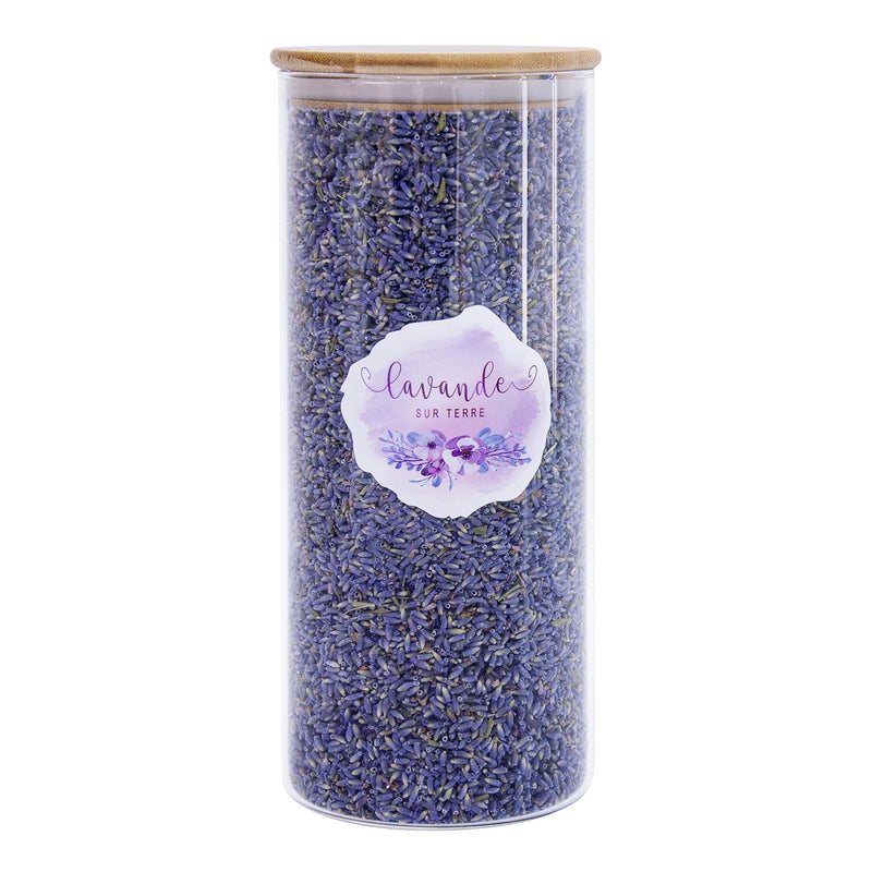 Lavande Sur Terre Lavande Sur Terre 8 Cups Lavender in Large Glass Bottle Highland Dried Lavender Flower Buds LVG1 