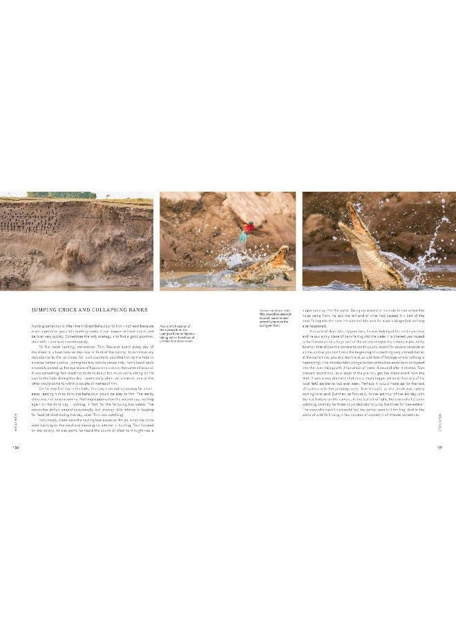 BBC A Perfect Planet - Image 5