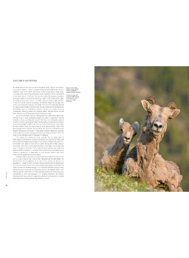 BBC A Perfect Planet - Image 4