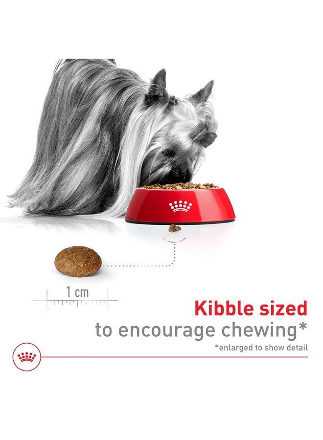 رويال كانين طعام جاف للكلاب البالغة من رويال كانين سايز هيلث نيوتريشن إكس-سمول، 8+، كيس 2.5 رطل - Image 3