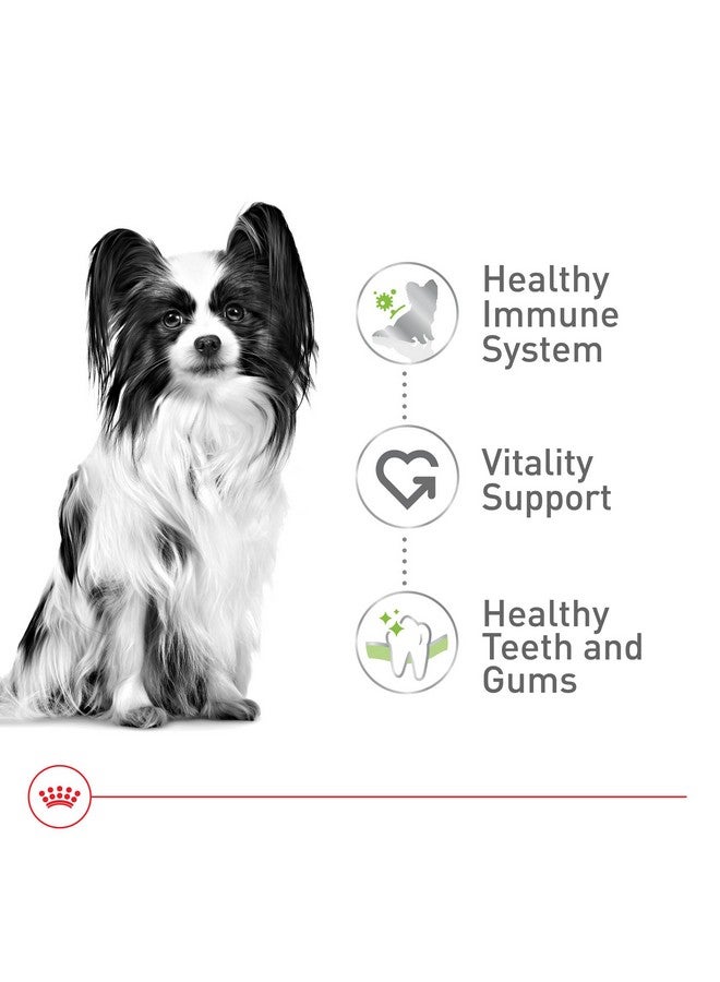 رويال كانين طعام جاف للكلاب البالغة من رويال كانين سايز هيلث نيوتريشن إكس-سمول، 8+، كيس 2.5 رطل - Image 4