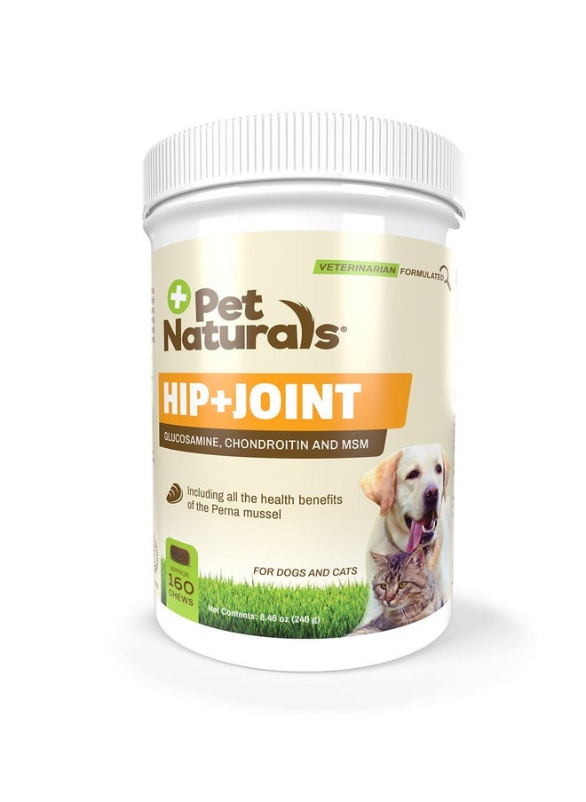 Pet Naturals - Hip And Joint Supplement With Glucosamine, Chondroitin And Msm For Dogs And Cats, Duck Flavor, 160 Chews - Image 1