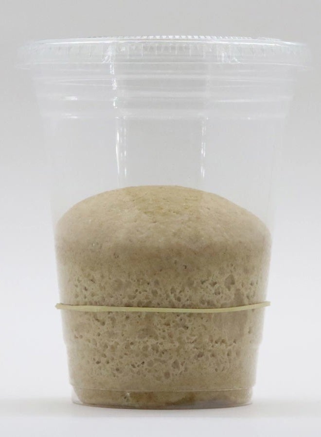 Bakerdale Dehydrated Organic Whole Wheat Sourdough Starter Culture - Image 2