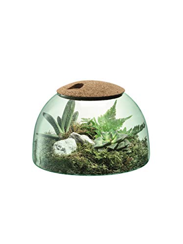 LSA International Canopy Closed Garden Planter 65 Luxury Handcrafted Modern Recycled Glass Vase with Domed Base and Sustainable Cork Lid - Image 3