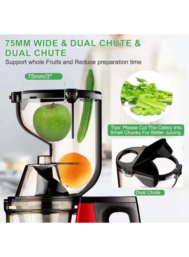 Forthcan Cold Press Juicer,300W Electric Masticating Juicer Machines with 7cm Large Feed Chute for Whole Fruits and Vegetables,Upgraded High Juice Yield Juice Extractor Machine with 2 Cups,Easy to Clean - Image 3