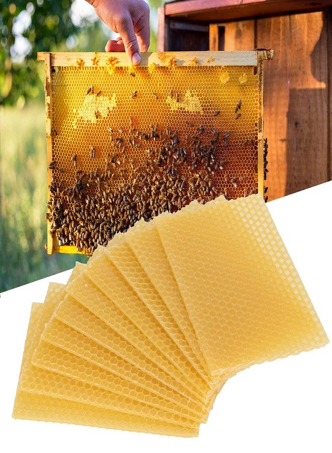 Fdit 10Pcs Natural Beeswax Sheets Beeswax Honeycomb Sheets Wax Foundation Bee Hives Kit Beeswax Sheets for Candles Making Furniture Floor Polishing - Image 4