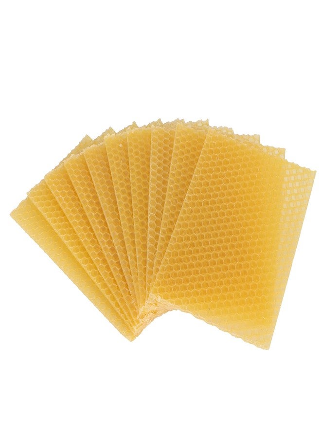Fdit 10Pcs Natural Beeswax Sheets Beeswax Honeycomb Sheets Wax Foundation Bee Hives Kit Beeswax Sheets for Candles Making Furniture Floor Polishing - Image 1