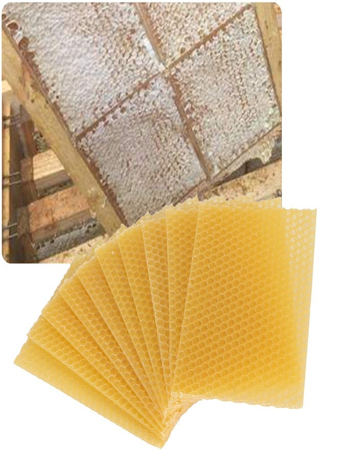 Fdit 10Pcs Natural Beeswax Sheets Beeswax Honeycomb Sheets Wax Foundation Bee Hives Kit Beeswax Sheets for Candles Making Furniture Floor Polishing - Image 5