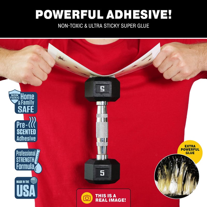 Catchmaster Cricket XL Giant Glue Boards 6-Pk, Adhesive Bug Catcher Cricket Traps Indoor, Sticky Trap for Inside Your Home, Bulk Insect Killer, Insect Traps for House & Garage, Pet Safe Pest Control - Image 2