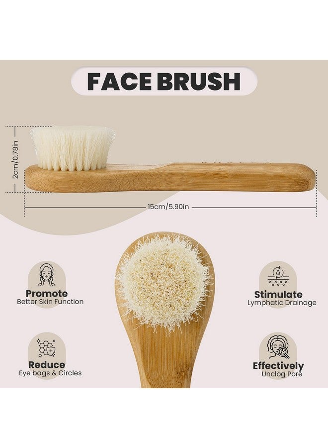 rosena Natural Dry Brush Set For Body And Face Exfoliate Stimulate Lymphatic Drainage Reduce Cellulite Dry Skin Brushing With Vegan Boar Bristles And Sustainable Bamboo Handles - Image 3