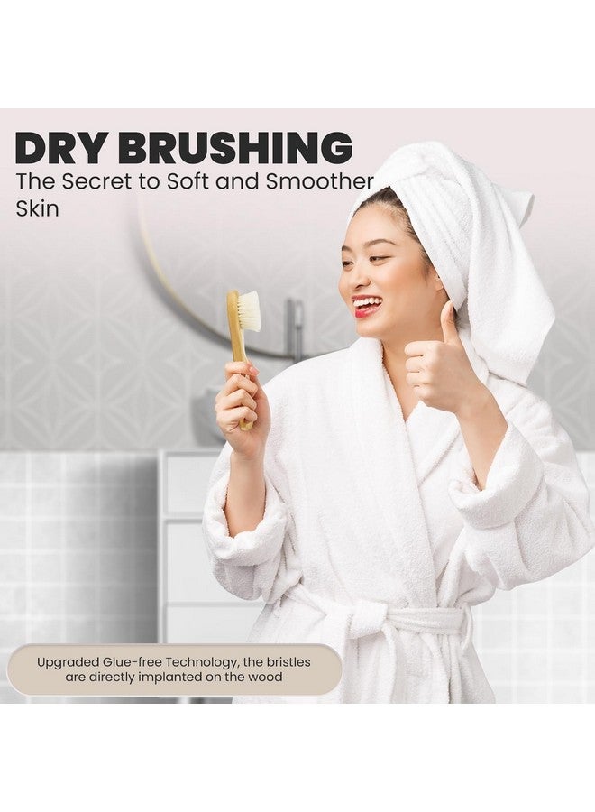rosena Natural Dry Brush Set For Body And Face Exfoliate Stimulate Lymphatic Drainage Reduce Cellulite Dry Skin Brushing With Vegan Boar Bristles And Sustainable Bamboo Handles - Image 5