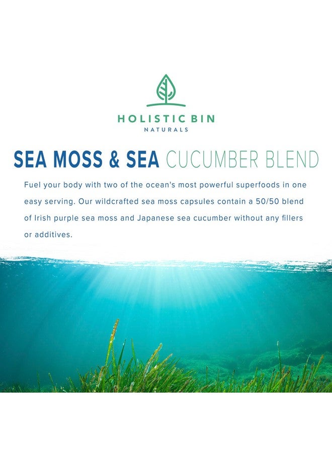 Holistic Bin Purple Sea Moss and Sea Cucumber Supplement Wildcrafted Raw Sea Moss Capsules | 500mg Sea Vegetables Per Serving - Image 2