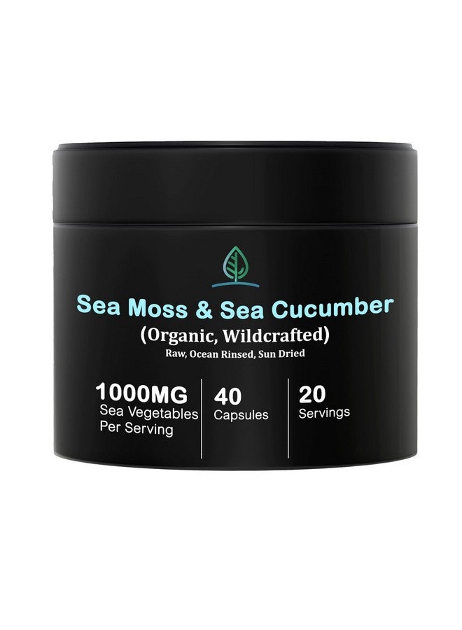 Holistic Bin Purple Sea Moss and Sea Cucumber Supplement Wildcrafted Raw Sea Moss Capsules | 500mg Sea Vegetables Per Serving - Image 1