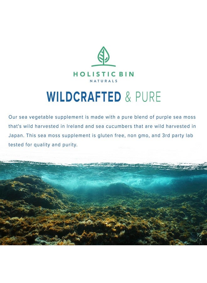 Holistic Bin Purple Sea Moss and Sea Cucumber Supplement Wildcrafted Raw Sea Moss Capsules | 500mg Sea Vegetables Per Serving - Image 5