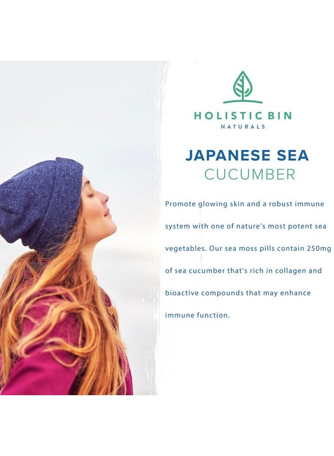 Holistic Bin Purple Sea Moss and Sea Cucumber Supplement Wildcrafted Raw Sea Moss Capsules | 500mg Sea Vegetables Per Serving - Image 4