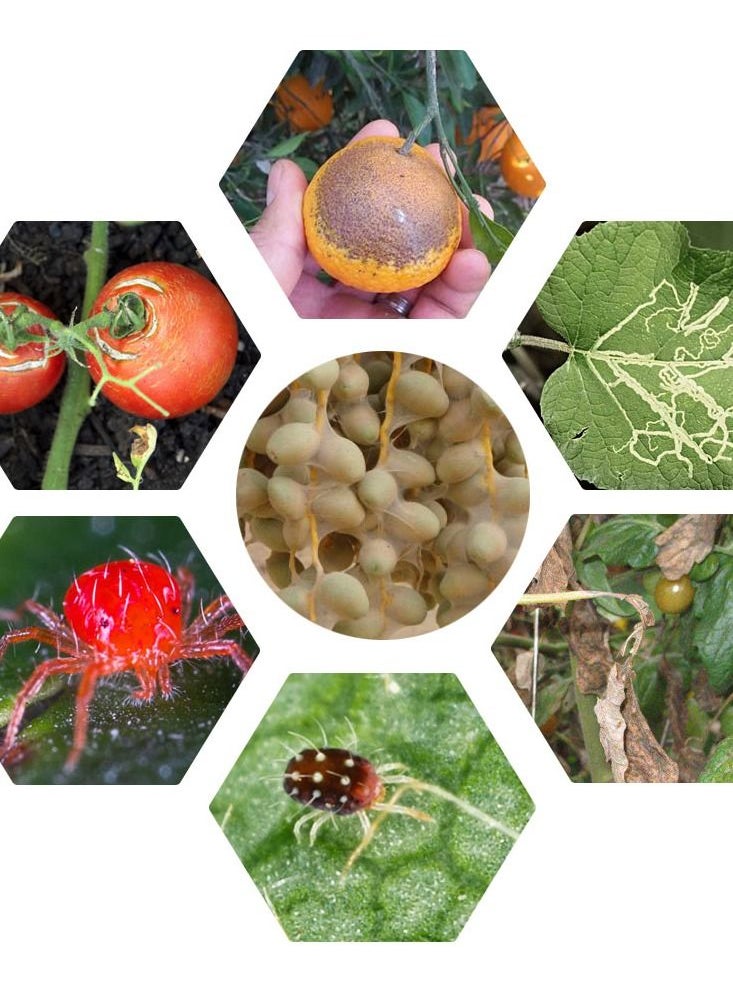 General - ABAMET Abamectin 1.8% EC Acaricide Insecticide Concentrate 250ml MOCCAE Approved Pesticide - Image 1