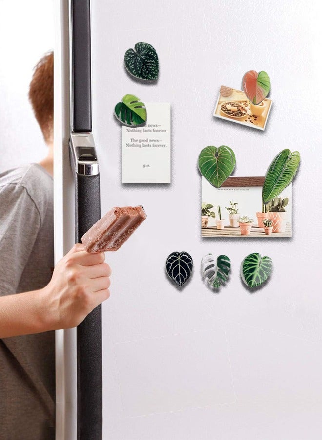 8pcs Resin Magnetic Fridge Stickers, Simulation Plant Leaf Pattern,Home Kitchen, School, Office, Car Decoration  - Image 2