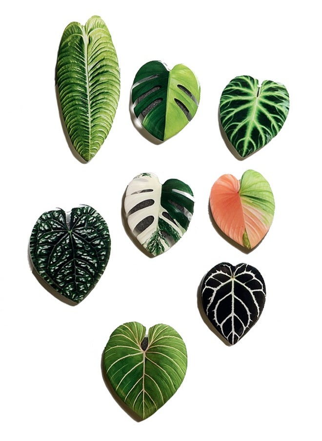 8pcs Resin Magnetic Fridge Stickers, Simulation Plant Leaf Pattern,Home Kitchen, School, Office, Car Decoration - pzsku/ZCC8F54052A9BB7887BC8Z/45/_/1725958012/56dcb85c-9fc9-401f-b3da-a1f879fa3bf1