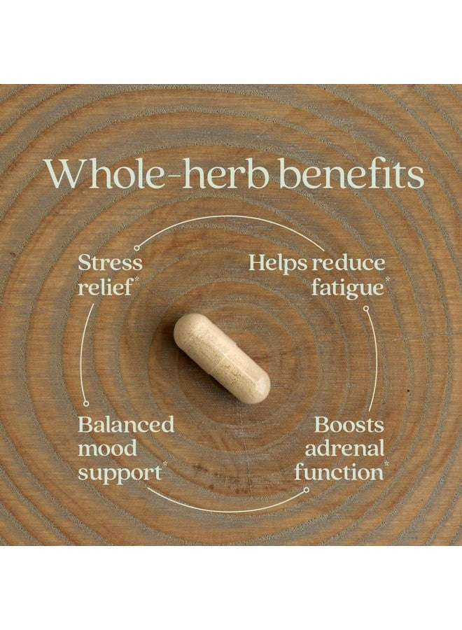 New Chapter Organic Ashwagandha Supplement, One Capsule a Day of Adaptogens for Stress Relief, Mood Support, & Energy, Vegan, 60 Count - Image 3