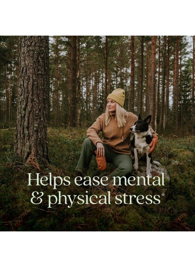 New Chapter Organic Ashwagandha Supplement, One Capsule a Day of Adaptogens for Stress Relief, Mood Support, & Energy, Vegan, 60 Count - Image 2