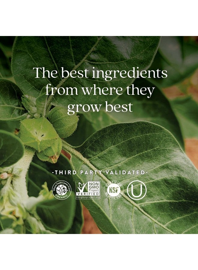 New Chapter Organic Ashwagandha Supplement, One Capsule a Day of Adaptogens for Stress Relief, Mood Support, & Energy, Vegan, 60 Count - Image 5