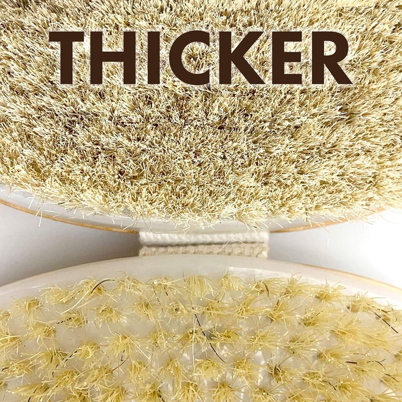 Scala Dry Brushing Body Brush Natural Bristle Body Brush, Soft Body Exfoliating Brush Scrub for Dead Skin, Cellulite, Lymphatic Drainage, Blood Flow – Thicker & Stronger Medium Strength - Image 3