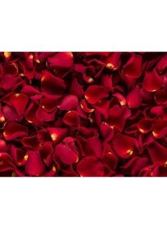 Red Rose Petals 1 Kg - pzsku/ZCC908F558C26F32BB77BZ/45/_/1729574762/50b41236-eb12-4fa0-ac85-4bbf4a2f5d24