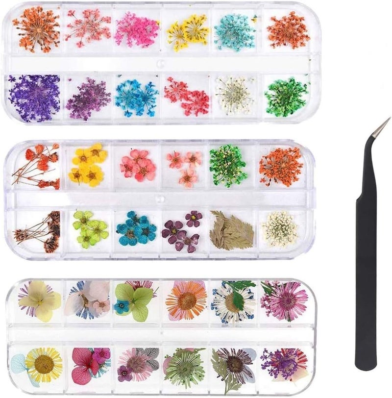 KAHEIGN 96 Pieces Nail Dried Flower 3D Nail Art Real Dried Flower Nail Applique Nail Parts Preserved Flower Manicure Nail Art Decoration with Tweezers