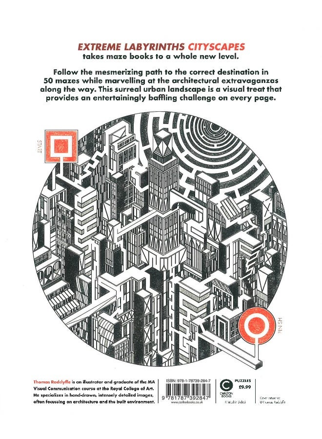 Extreme Labyrinths- Cityscapes - Image 2