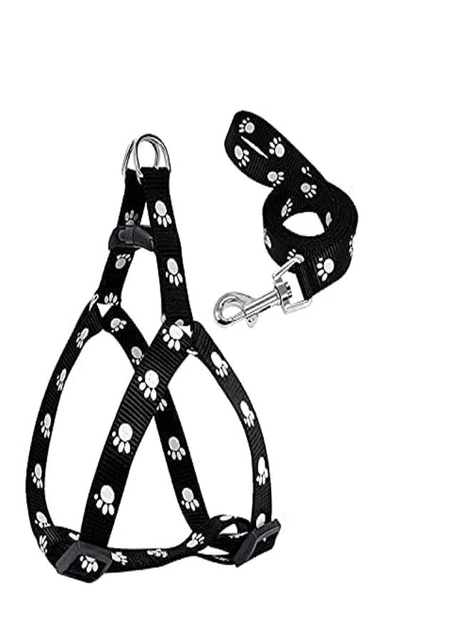 KittuPet Nylon Adjustable Leash with Harness Set Printed Nylon Puppy Harness for Small & Medium Dogs Colour May Vary (0.5 INCH), Multicoloured - Image 2