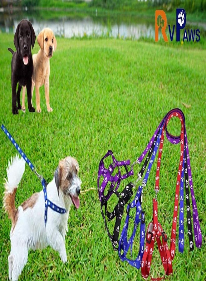 KittuPet Nylon Adjustable Leash with Harness Set Printed Nylon Puppy Harness for Small & Medium Dogs Colour May Vary (0.5 INCH), Multicoloured - Image 5