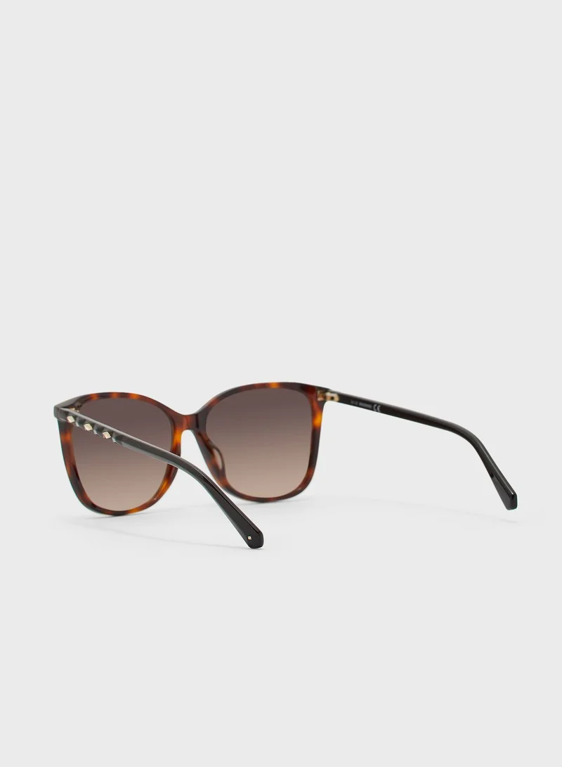SWAROVSKI Wayfarer Sunglasses