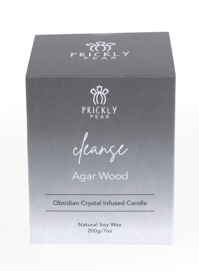 Prickly Pear 'Cleanse' Obsidian Crystal Candle - Image 5