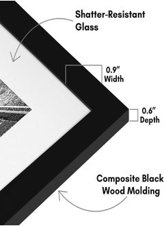 AKDC  Frame In Black - Displays A4 SIZE Without Mat -   Glass - Set Of 2 - pzsku/ZCC95AD154CE2A9F09641Z/45/_/1716583047/fab8ee3e-c2f9-4c2f-b2dc-d63dd2ccbf40