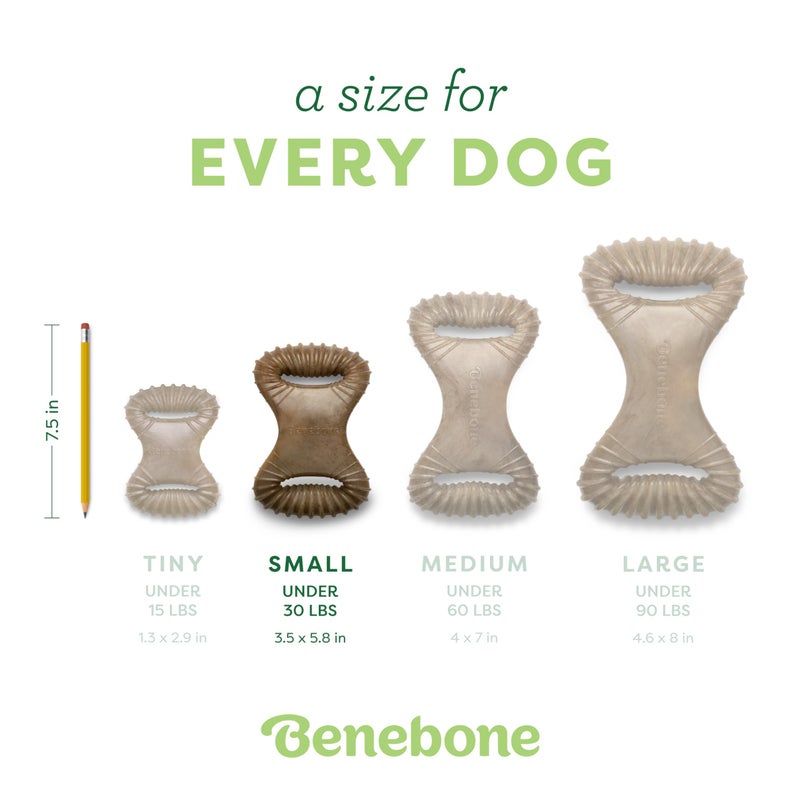 Benebone Dental Durable Dog Chew Toy for Aggressive Chewers, Real Bacon, Made in USA, Small - Image 4